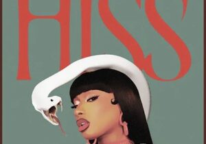 Megan Thee Stallion HISS (chopped 'n screwed) Mp3 Download